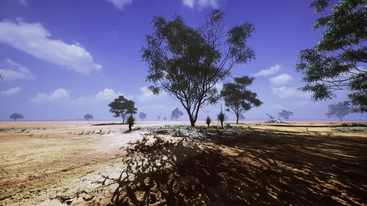 Vast dry landscape with sparse trees and blue sky under bright sunlight