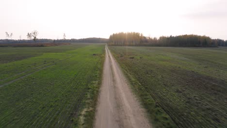fast forward fly above dirt road beside farm fields in latvia
