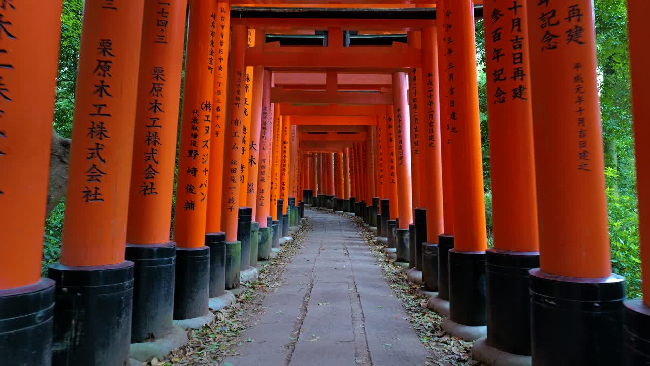 Eteenpäin liikkuva kuva ikonisten punaisten torii-porttien läpi Fushimi Inarissa Kiotossa