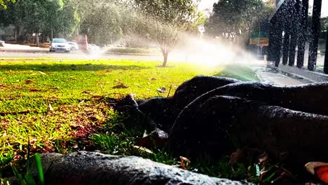 riego de un jardín urbano en un barrio central de brasilia