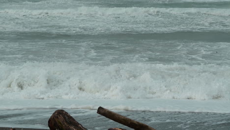 Logs-on-the-beach