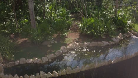 gimbal wide tilting up shot of the jaguar enclosure at xcaret park in quintana roo, mexico. 4k