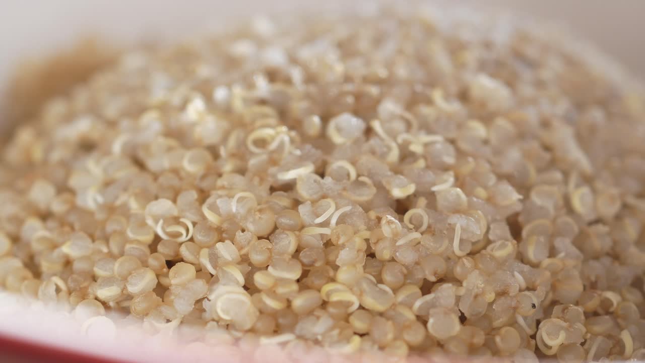 조리되지 않은 노아의 클로즈업