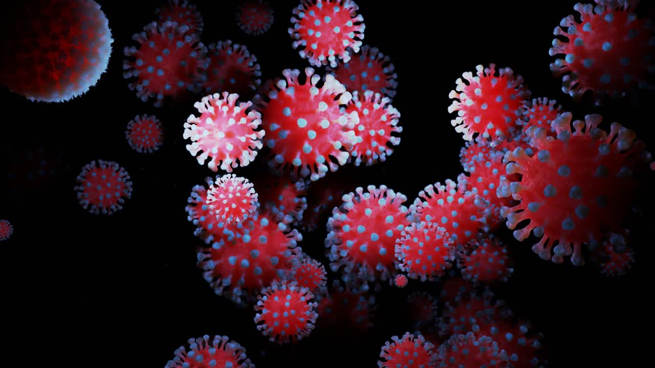 close-up coronavirus tipo covid-19, h1n1, gripe aviar o gripe porcina se mueven suavemente en fluido representación 3d del virus como fondo de bucle microscópico microbiológico. gradiente azul rojo 19