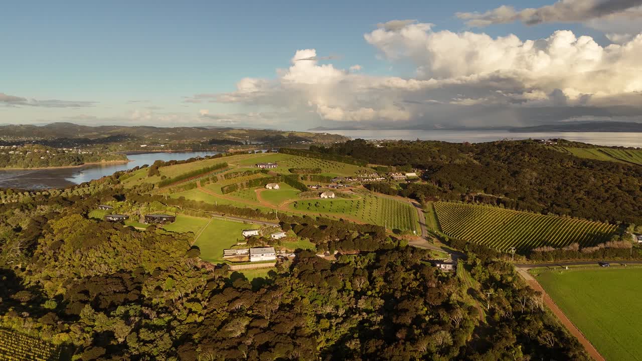 Golden sunset over Waiheke Island vineyards and hills, New Zealand. Aerial drone