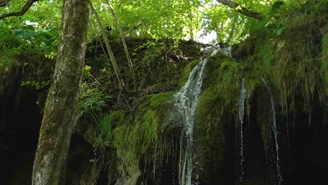 beautiful slow motion shot of small mountain river waterfall splashing over cascade of rocks covered with moss and grass