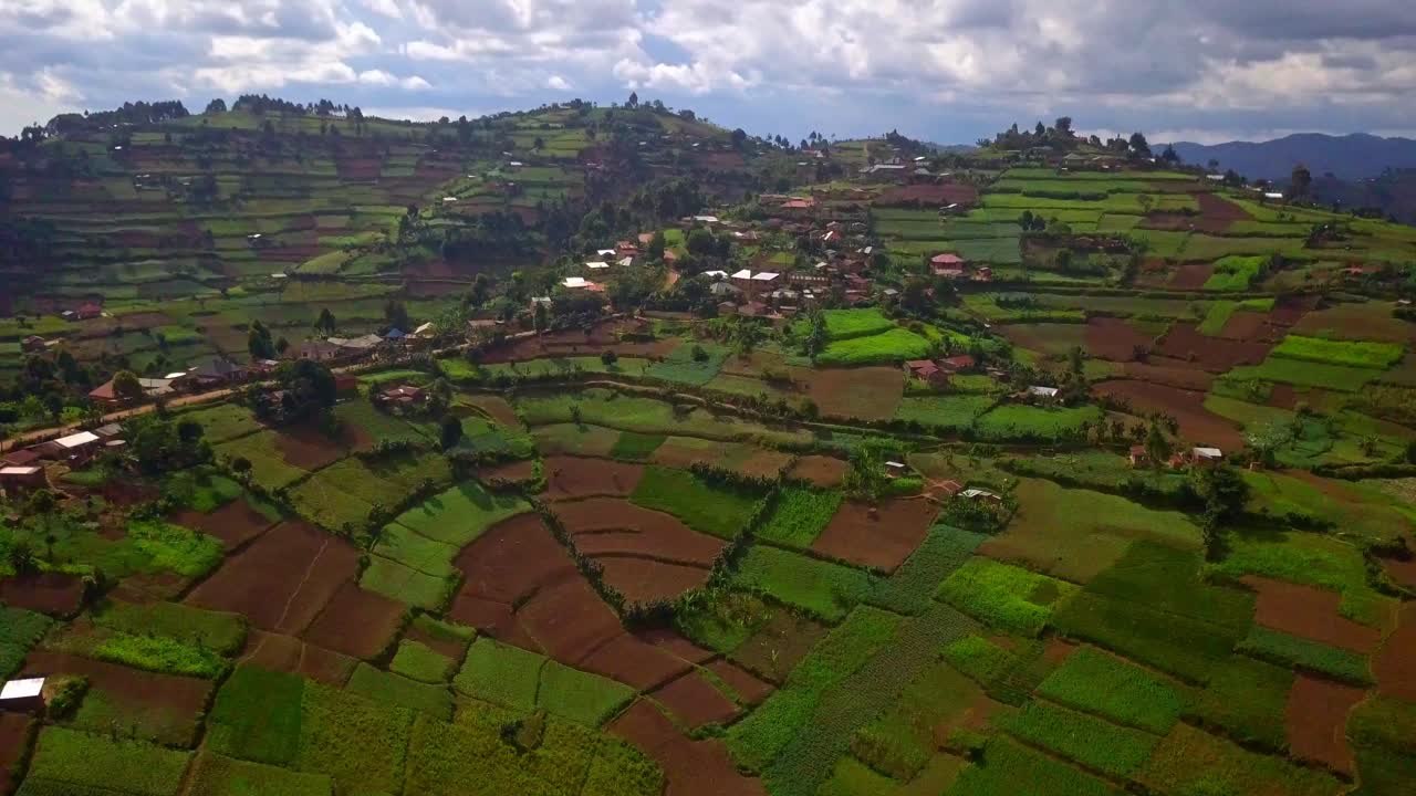 granjas y plantaciones en colinas en el distrito de kisoro en uganda - toma aérea de drones