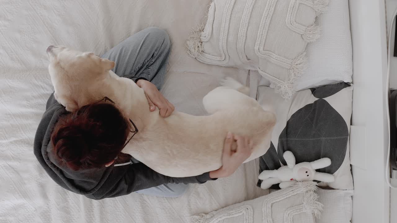 Top-down drone shot of a Labrador puppy asking for a hug and attention from its owner. Dog happily wags its tail while cuddling with its owner, capturing a sweet moment of affection. True friendship