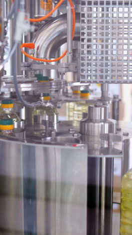 bottling line of sunflower oil. bottles with vegetable oil against the background of factory equipment vertical video