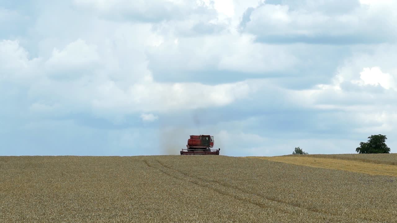 Combine harvester working on sunny summer day. Harvest time. Agricultural sector
