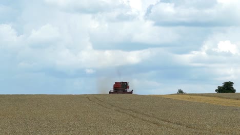 combine harvester working on sunny summer day. harvest time. agricultural sector