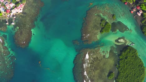 overhead aerial view above panama coral reef tropical island palm tree jungle landscape