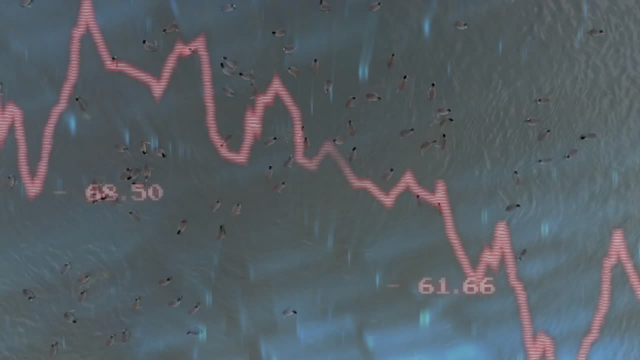 Data feed updating, pink or red price line sliding on bluish backdrop with labels, showing volatilit