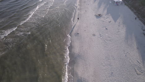 Aerial-top-down-of-person-walking-along-sandy-beach-and-shore-of-Baltic-Sea-in-sun