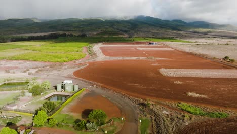 Lote-Vacío-Con-Suelo-Fértil-En-Una-Finca-De-Café-En-El-Oeste-De-Maui,-Hawaii