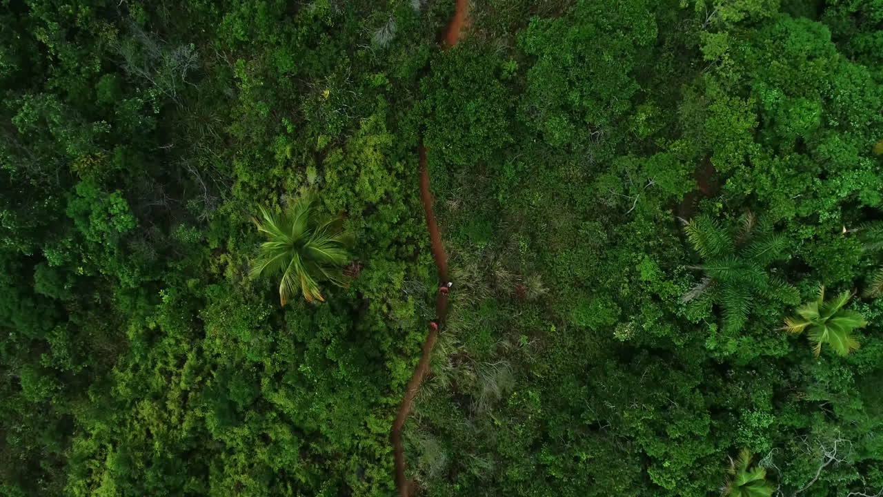bañistas caminando por un camino de tierra para llegar a la playa de fortaleza, brasil