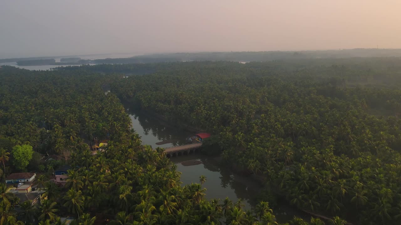 vista aérea de un puente sobre un canal en un bosque tropical