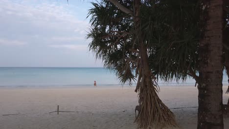 summer video 4k of the beach with coconut palm tree in sunshine daytime with white sand beach and clear blue sky in slowmotion 4k uhd video