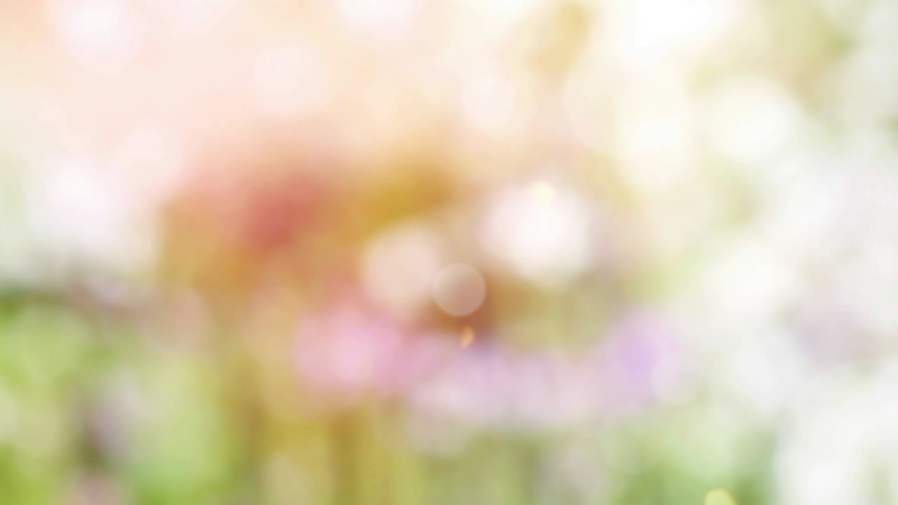 보케와 함께 추상적인 스프링 배경