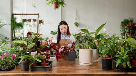 mujer regando plantas en una tienda de plantas