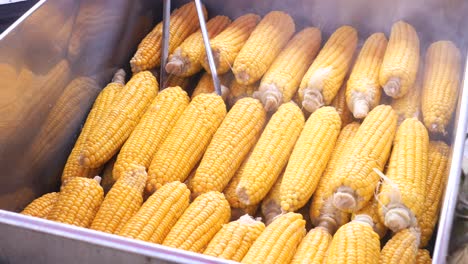 close-up of steaming corn on the cob in a metal container