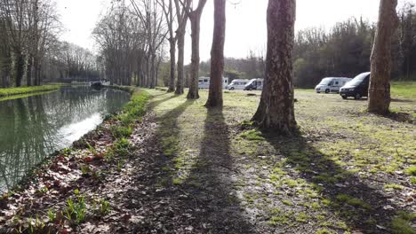 campervans parked behind large trees next to canal