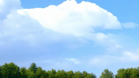 blue sky with white clouds and green trees