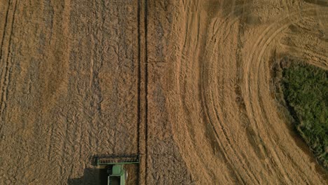 Combine-Harvesting-Golden-Ripe-Wheat-Field-In-Poland---Aerial-Top-Down