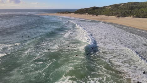 group of surfers floating close to coast