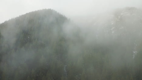 Foggy-Clouds-Over-Fir-Forests-Near-Olympic-National-Park,-Washington-State,-United-States