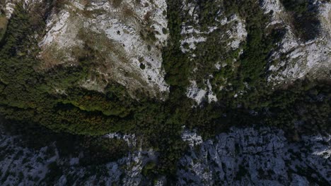 a stunning top-down view of the green mountain valley of lovćen, showcasing its natural beauty.