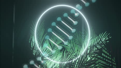cadena de adn animada sobre plantas tropicales con un círculo brillante en el fondo