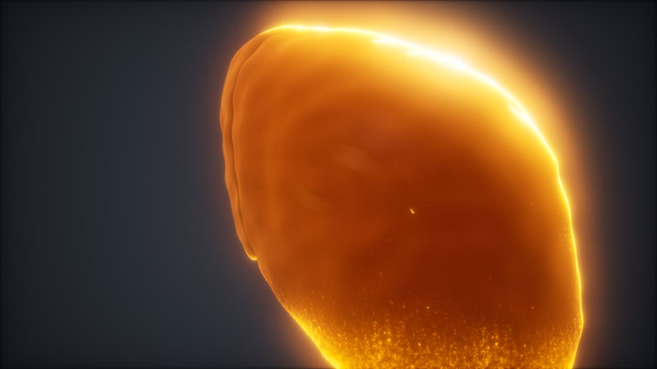 loop 3d rendered medically accurate animation of the human liver