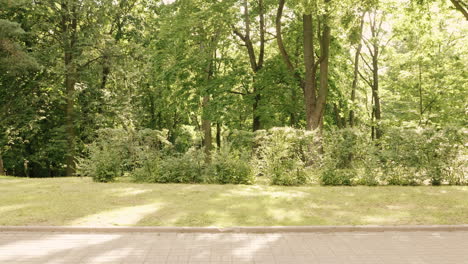 woman riding a bicycle in a park