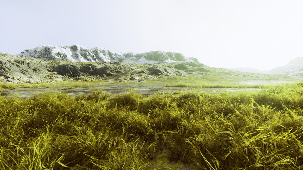 Vast green grasslands beside a tranquil pond with distant snowy mountains