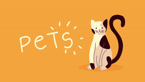 cute little cat mascot animated