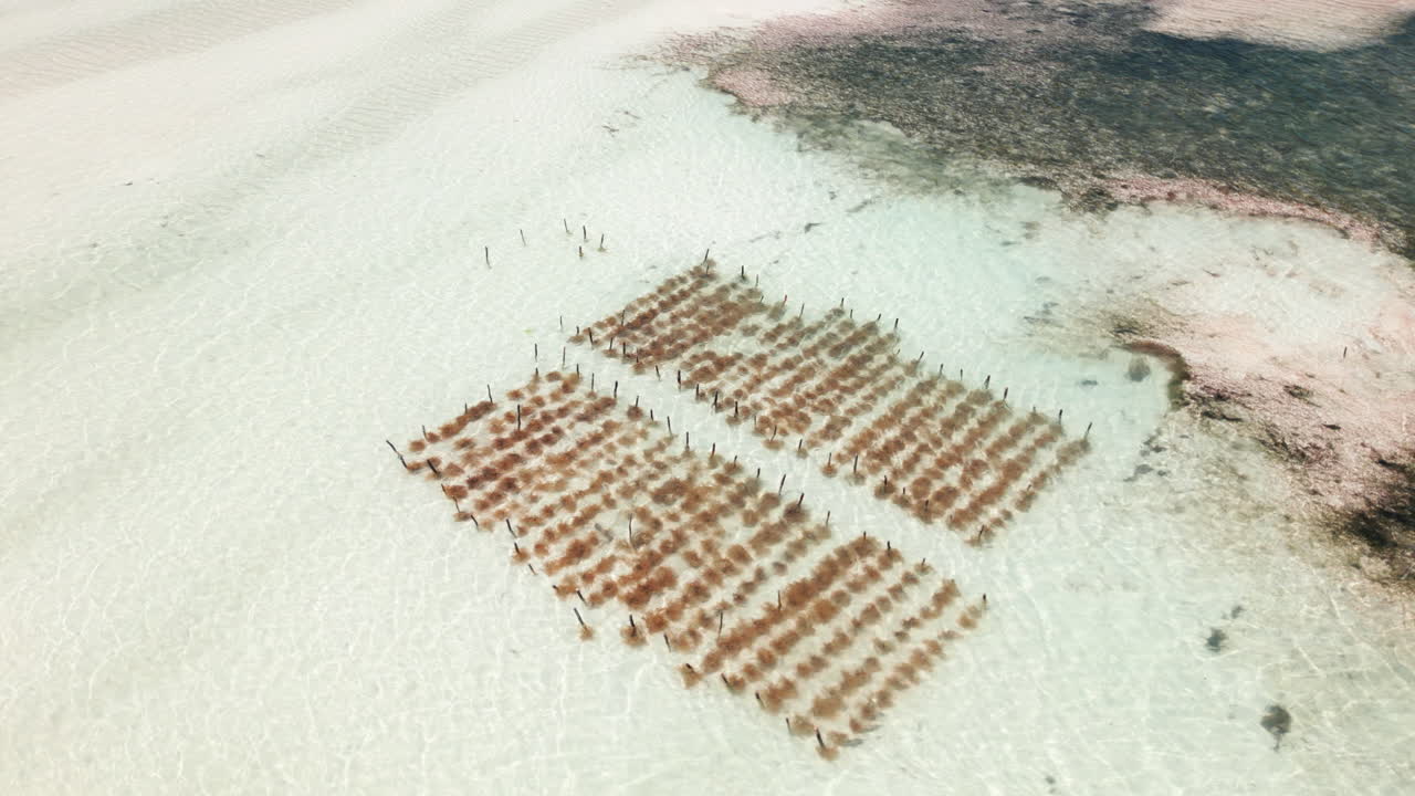 Seaweed farms in shallow coastal waters from above