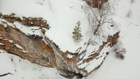 snowy winter landscape with cliff and trees