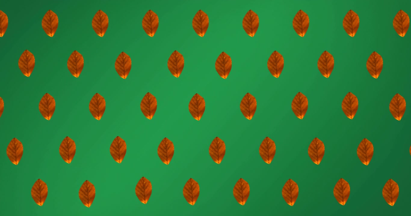 Animation of rows of orange autumn leaves on green background
