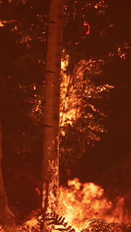árbol quemándose en un incendio forestal por la noche