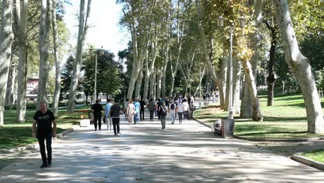 people walking through a park on a sunny day