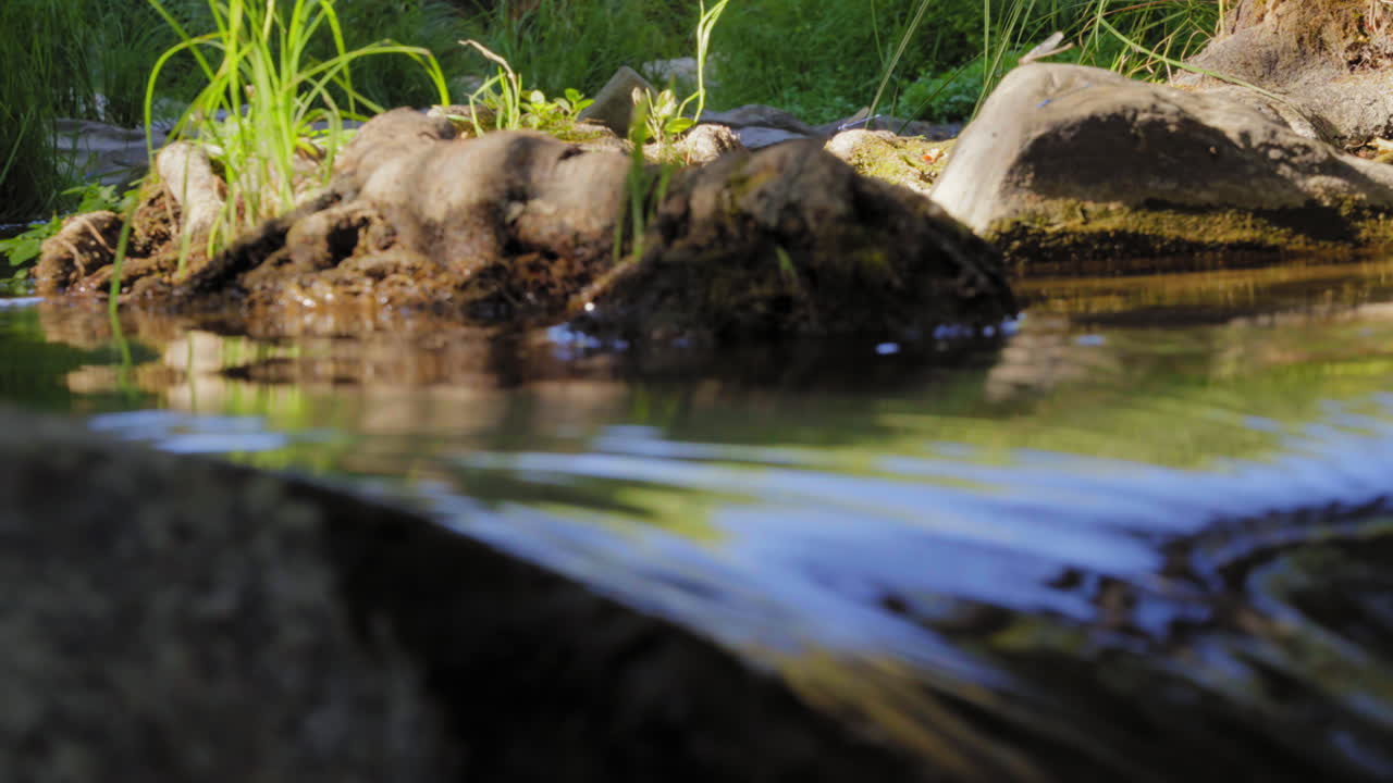 Acqua limpida e fresca che scorre in un ruscello o torrente - inquadratura dal basso e isolata