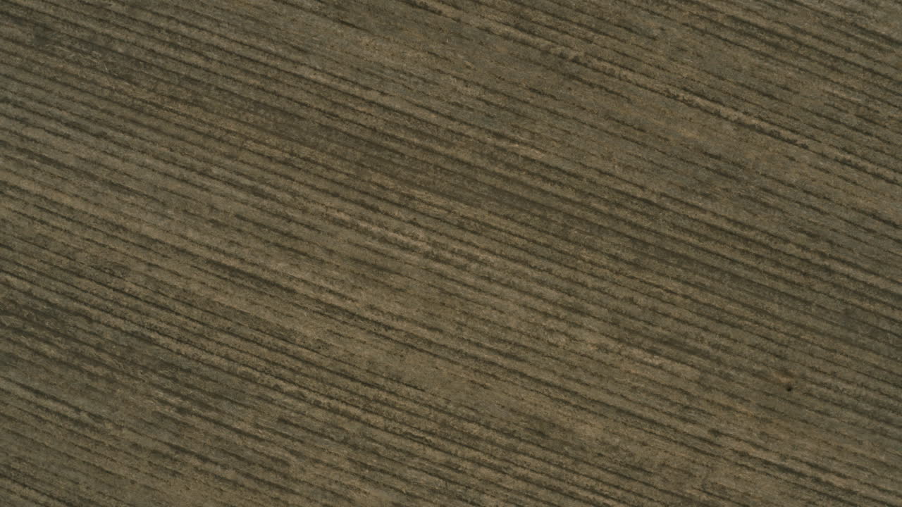 공중 - 경작된 비옥한 들판의 평행선, 넓게 솟아오른 샷 위에서 아래로