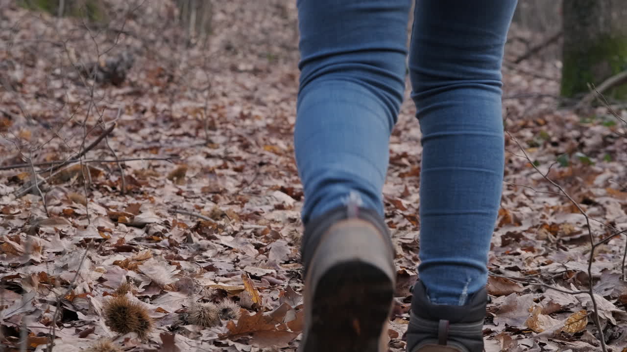 Benen van een vrouw in blauwe spijkerbroek die in de winter op bosgrond loopt met gedroogde gevallen bladeren.