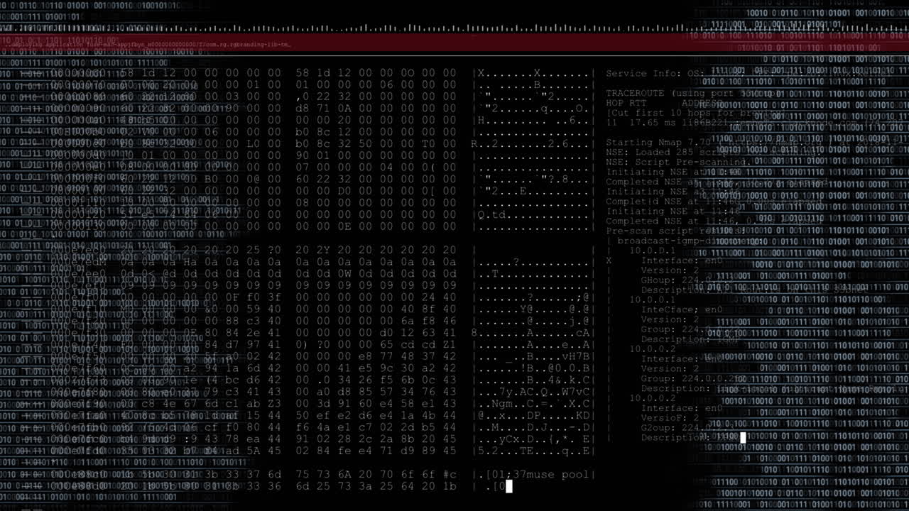 animación del texto de los datos y procesamiento del cursor blanco en pantalla con fondo negro