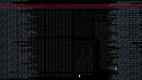 animación del texto de los datos y procesamiento del cursor blanco en pantalla con fondo negro