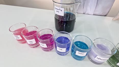 experiment with butterfly pea flower and chemicals