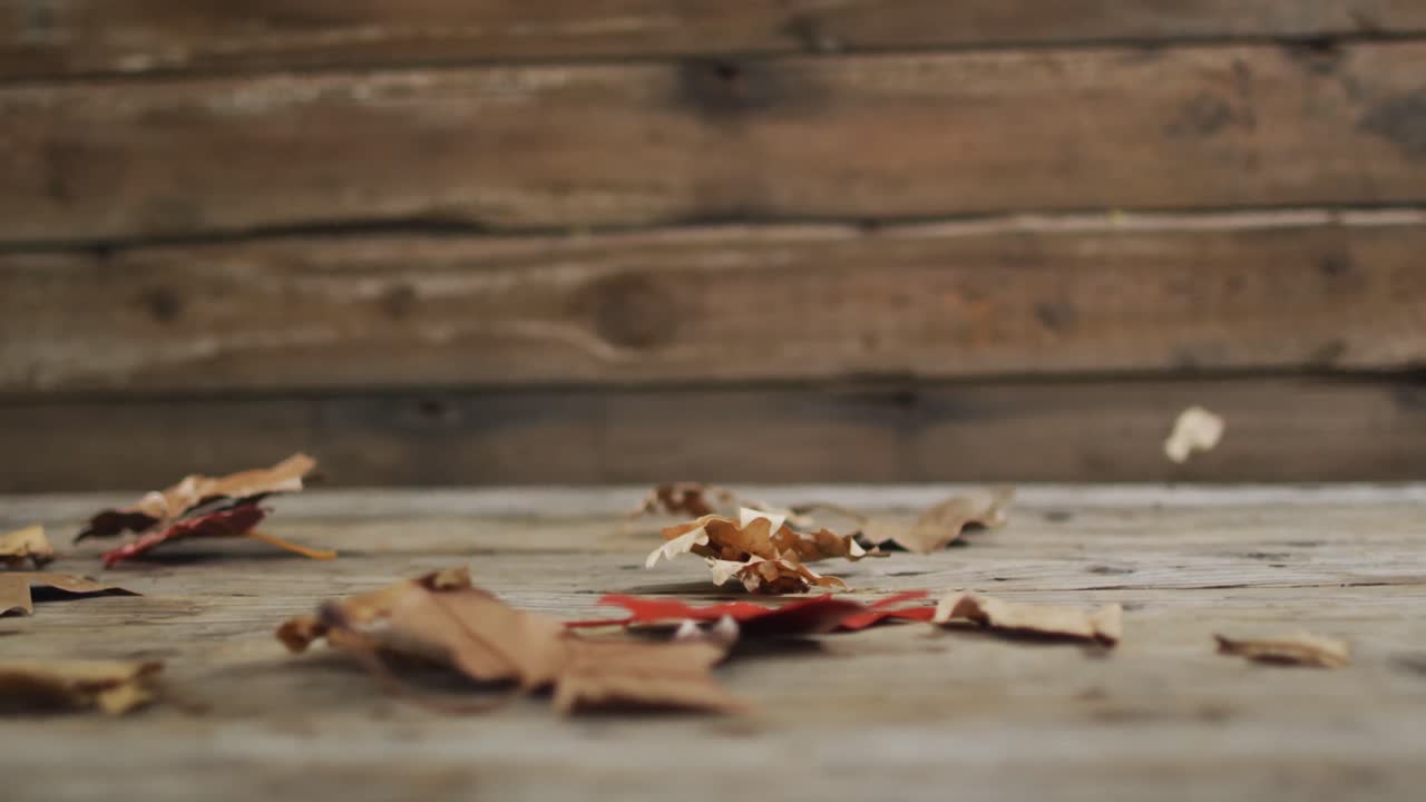 나무 표면 에 대항 하여 공중 을 날아다니는 가을 잎 들 의 가까운 모습