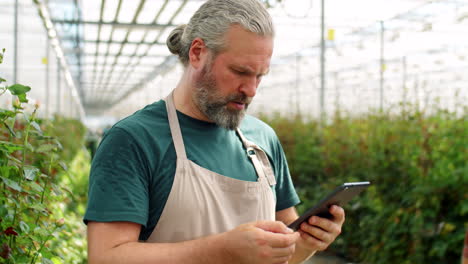 Hombre-De-Mediana-Edad-Usando-Tableta-Durante-La-Jornada-Laboral-En-Invernadero-De-Flores