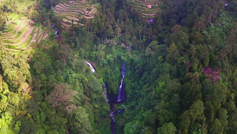 campos de terrazas escalonadas en el pueblo de la selva por encima de las cascadas de fiji en bali